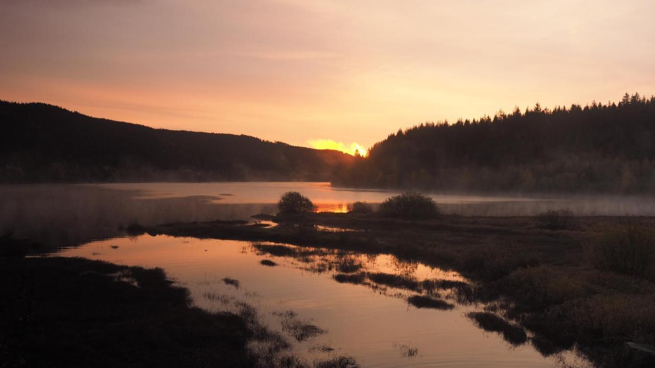 C3 Albmatte-Fewo Sauna, Hallenbad Aussenbecken Massagen Nebenan St. Blasien Eksteriør bilde