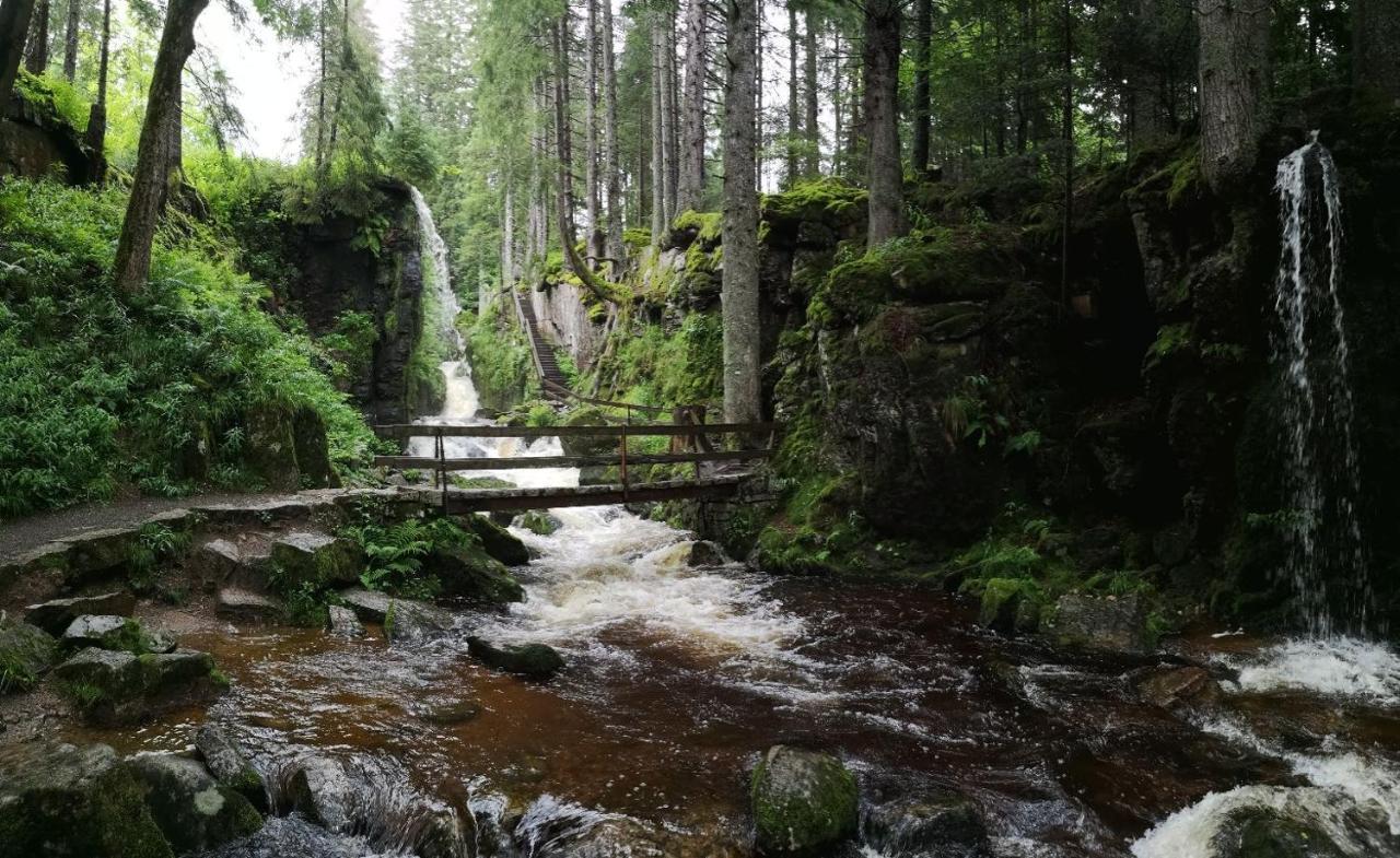 C3 Albmatte-Fewo Sauna, Hallenbad Aussenbecken Massagen Nebenan St. Blasien Eksteriør bilde