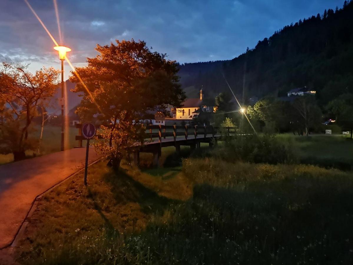 C3 Albmatte-Fewo Sauna, Hallenbad Aussenbecken Massagen Nebenan St. Blasien Eksteriør bilde
