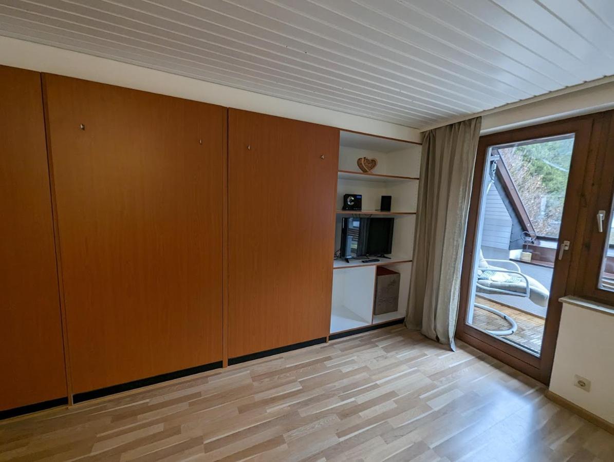 C3 Albmatte-Fewo Sauna, Hallenbad Aussenbecken Massagen Nebenan St. Blasien Eksteriør bilde
