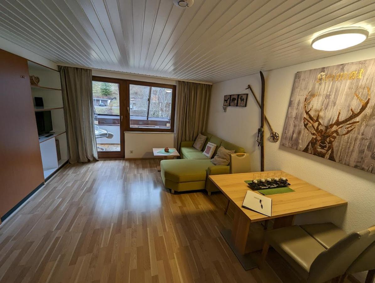 C3 Albmatte-Fewo Sauna, Hallenbad Aussenbecken Massagen Nebenan St. Blasien Eksteriør bilde