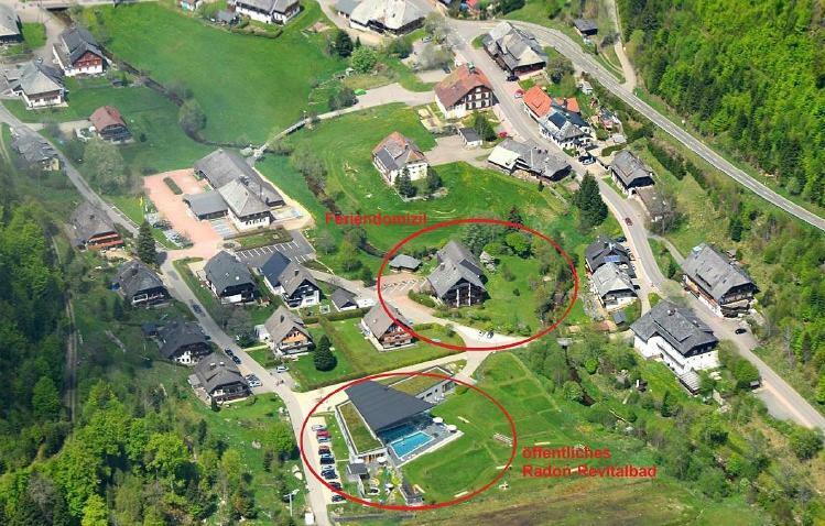 C3 Albmatte-Fewo Sauna, Hallenbad Aussenbecken Massagen Nebenan St. Blasien Eksteriør bilde