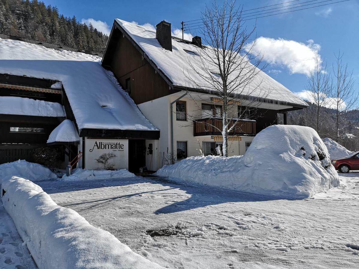 C3 Albmatte-Fewo Sauna, Hallenbad Aussenbecken Massagen Nebenan St. Blasien Eksteriør bilde
