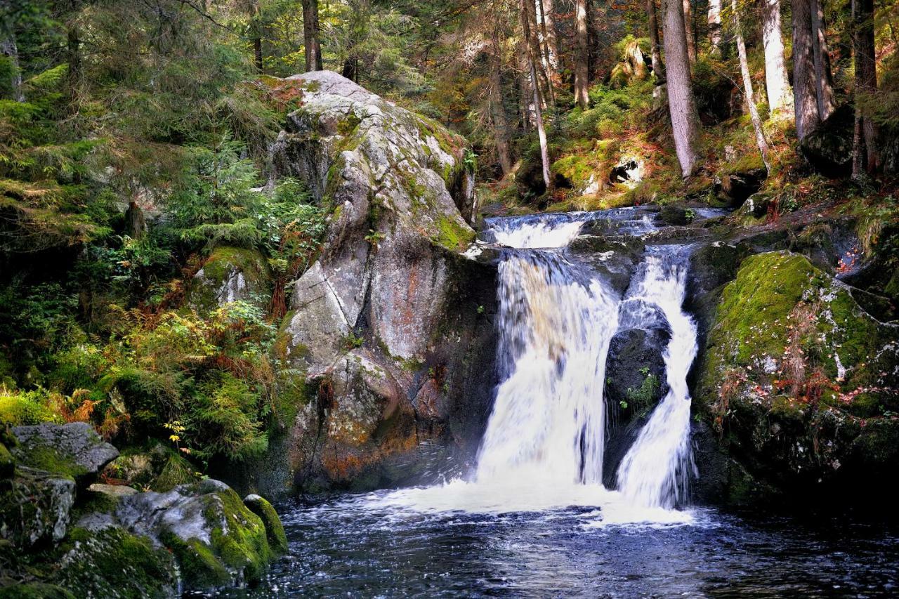 C3 Albmatte-Fewo Sauna, Hallenbad Aussenbecken Massagen Nebenan St. Blasien Eksteriør bilde
