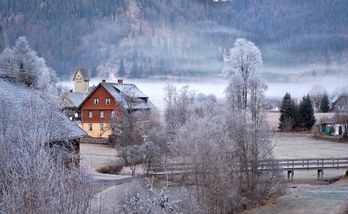 C3 Albmatte-Fewo Sauna, Hallenbad Aussenbecken Massagen Nebenan St. Blasien Eksteriør bilde