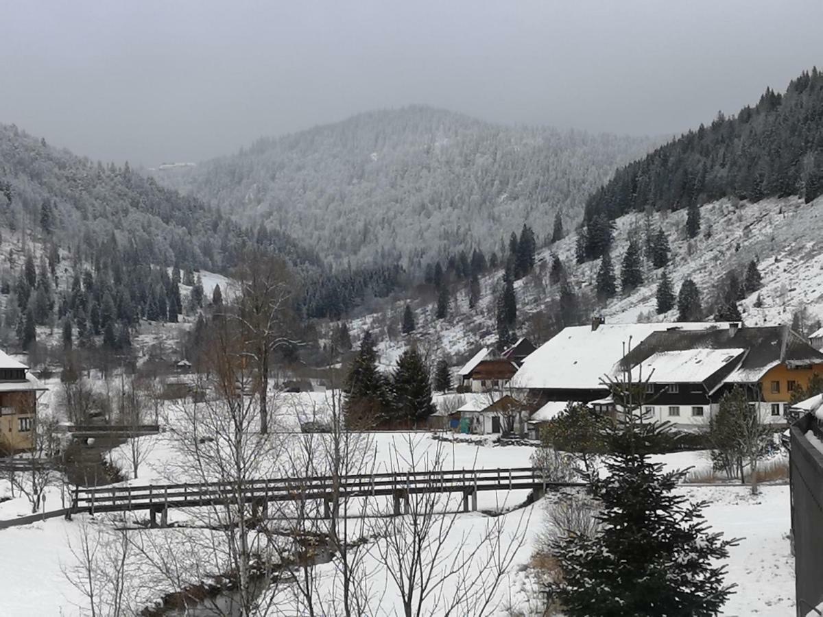 C3 Albmatte-Fewo Sauna, Hallenbad Aussenbecken Massagen Nebenan St. Blasien Eksteriør bilde