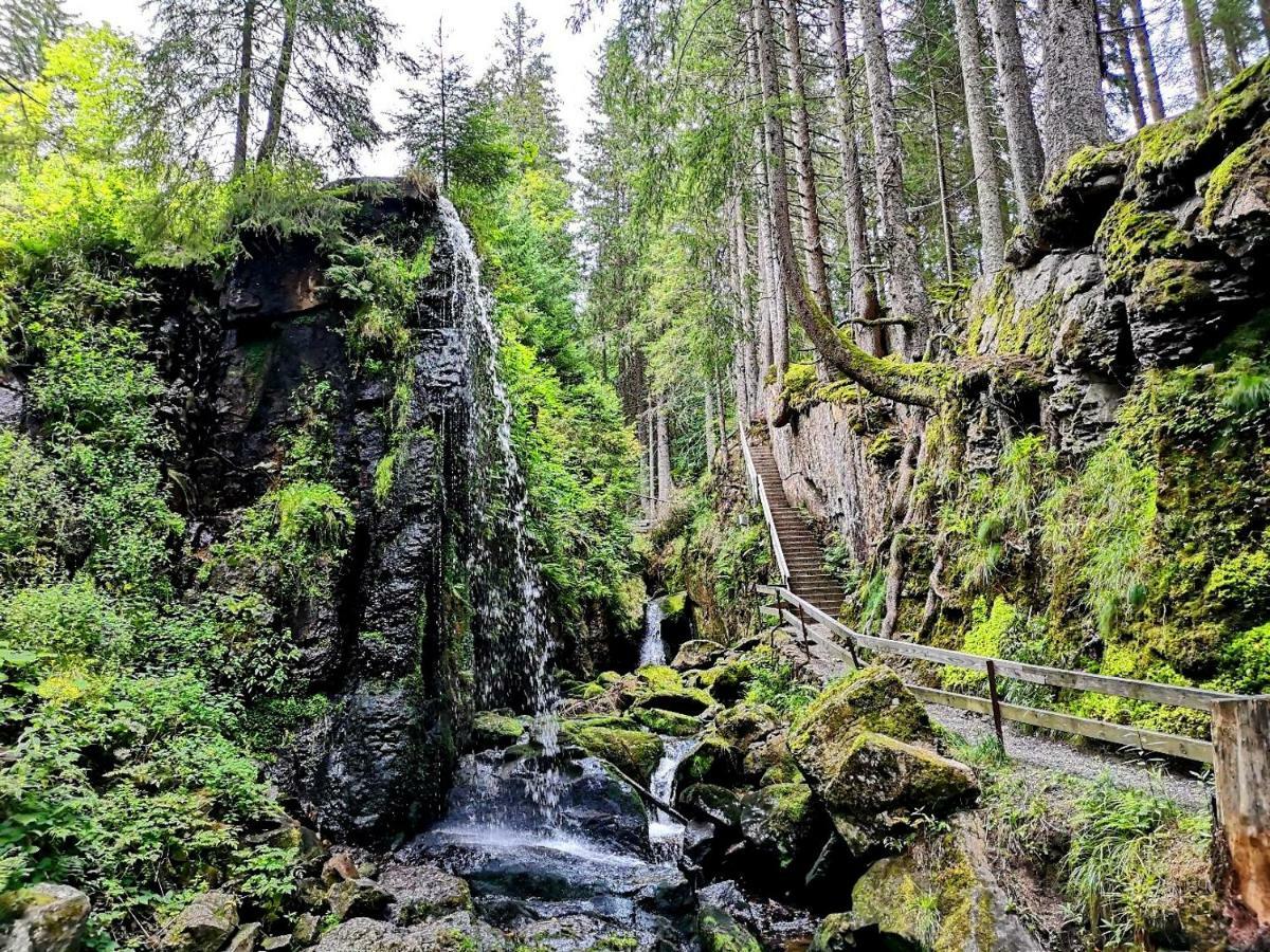 C3 Albmatte-Fewo Sauna, Hallenbad Aussenbecken Massagen Nebenan St. Blasien Eksteriør bilde