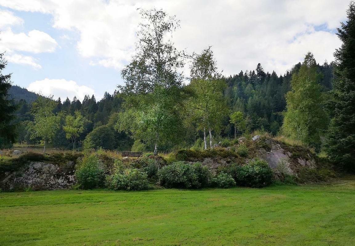 C3 Albmatte-Fewo Sauna, Hallenbad Aussenbecken Massagen Nebenan St. Blasien Eksteriør bilde