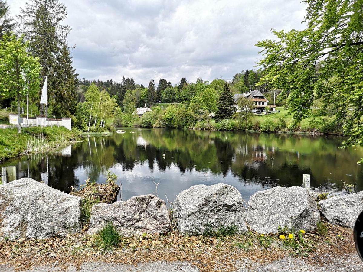 C3 Albmatte-Fewo Sauna, Hallenbad Aussenbecken Massagen Nebenan St. Blasien Eksteriør bilde